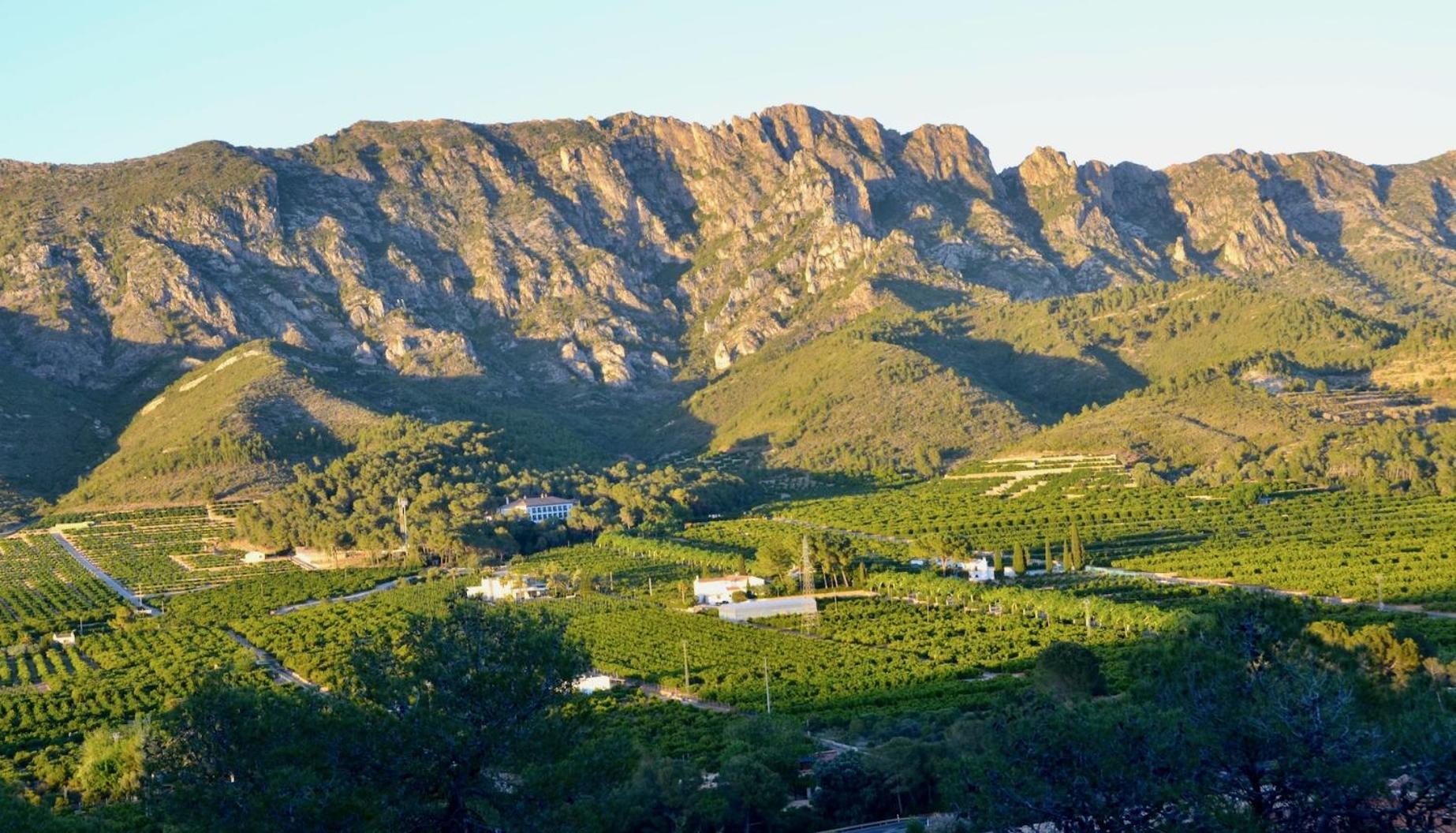 La Isla Del Jucar Vila Barraca de Aguas Vivas Exterior foto